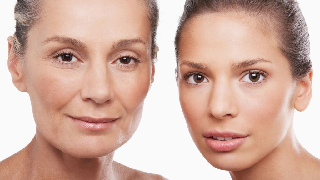 Scientifically Proven Ingredients That Help Slow Down The Signs of Aging